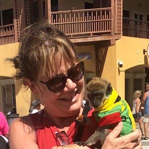 Meet your Posher, Linnsi